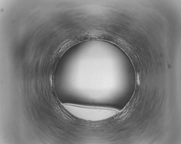 X0000060581155200511030911