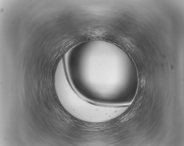 X0000060581156200511030911