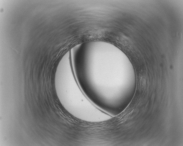 X0000060581250200511030910