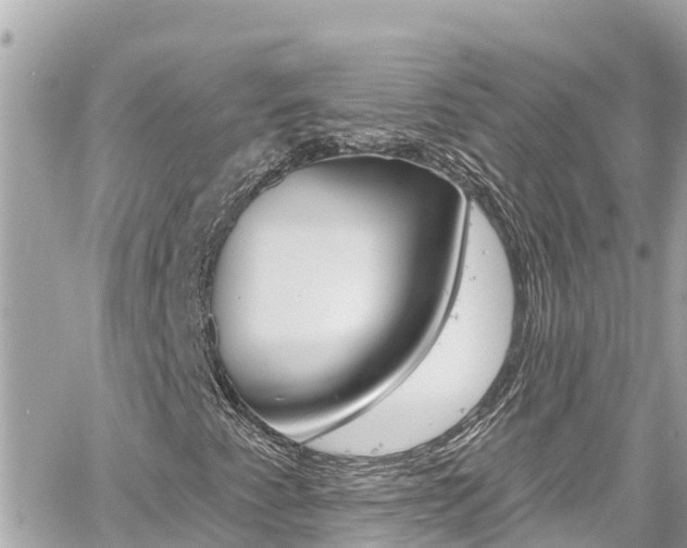 X0000060581345200511030908