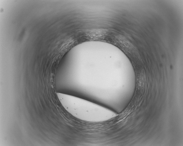 X0000060581346200511030908