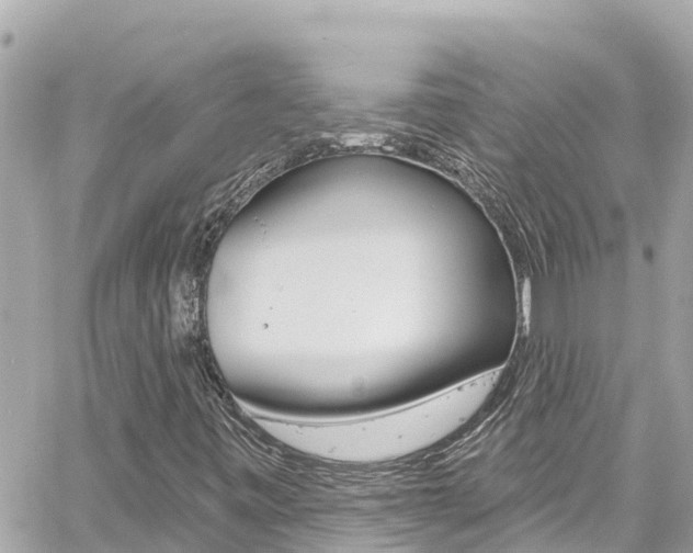 X0000060581443200511030906