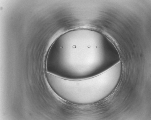 X0000060581483200511030905