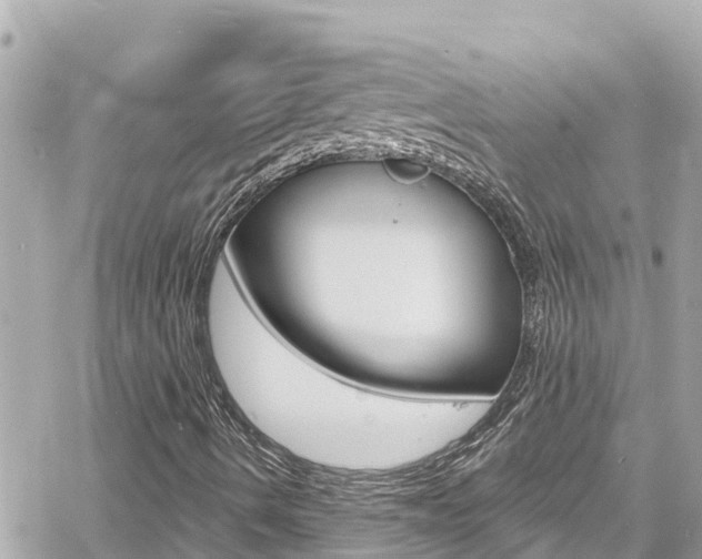 X0000060581490200511030904
