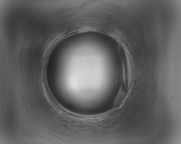 X0000060580001200511031348