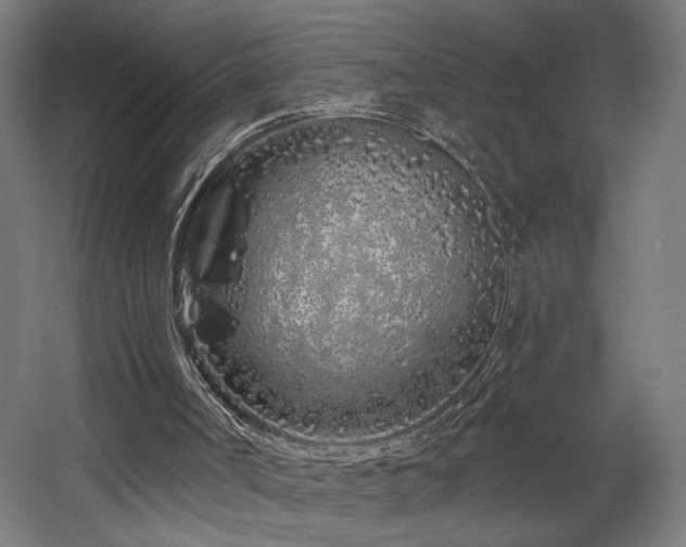 X0000060580002200511031348