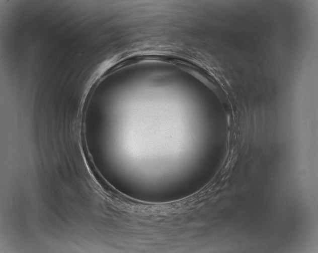 X0000060580003200511031348