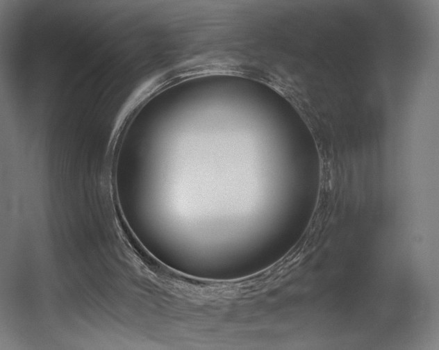 X0000060580004200511031348