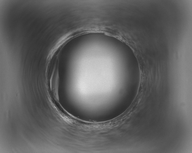 X0000060580005200511031348