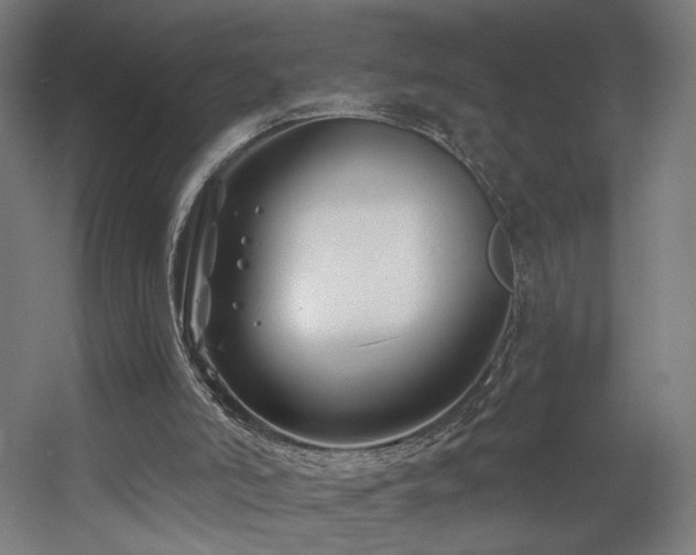 X0000060580006200511031348