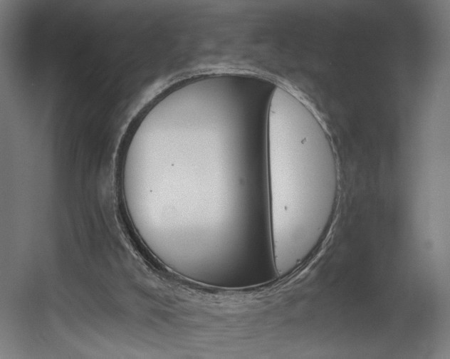 X0000060580008200511031348