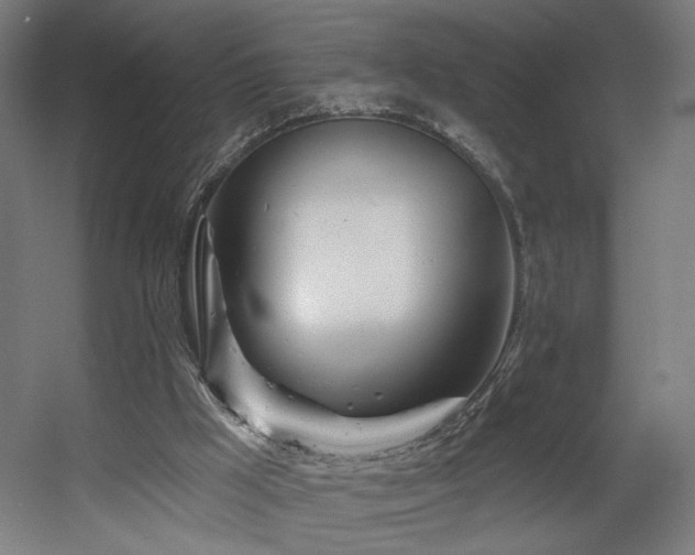 X0000060580009200511031348