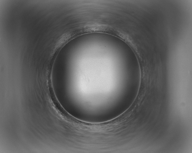 X0000060580010200511031348