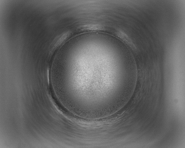 X0000060580014200511031348