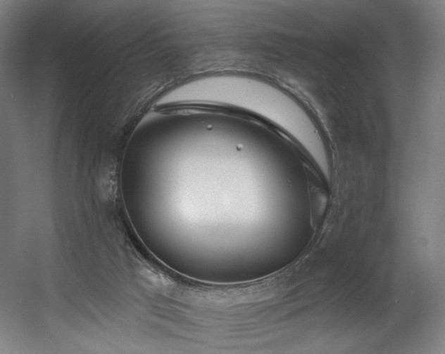 X0000060580017200511031348