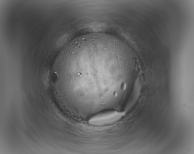 X0000060580018200511031348