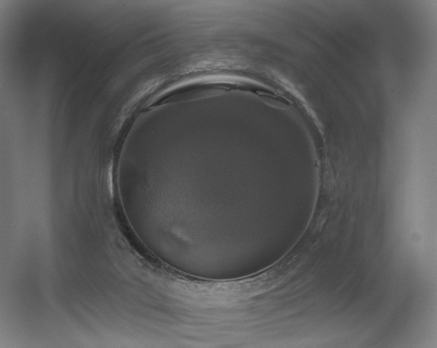 X0000060580019200511031348