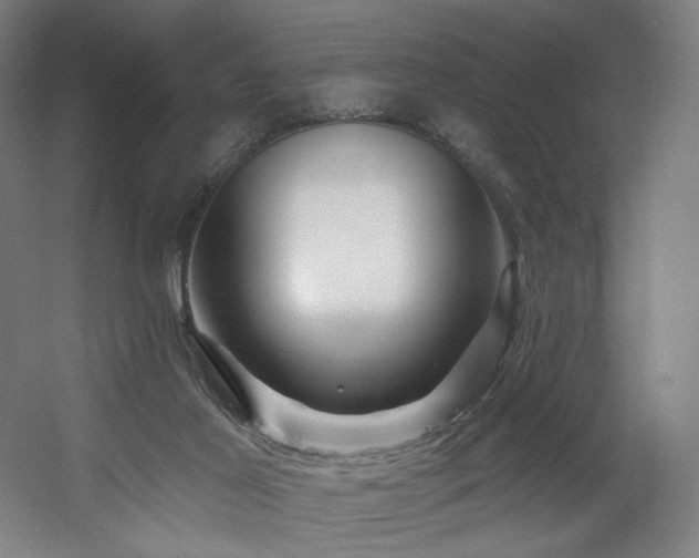 X0000060580021200511031348