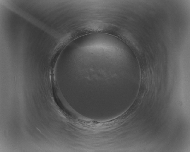 X0000060580023200511031348