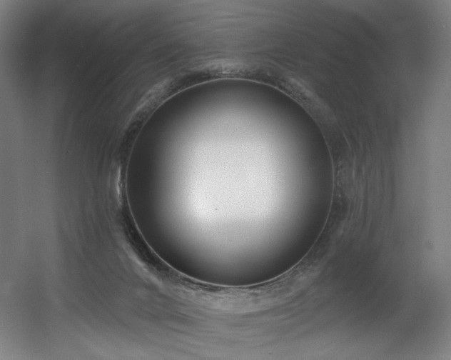 X0000060580024200511031348