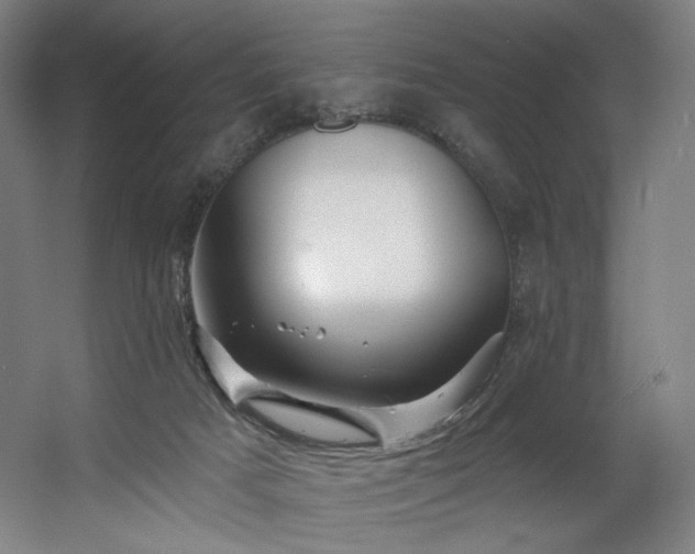 X0000060580025200511031348