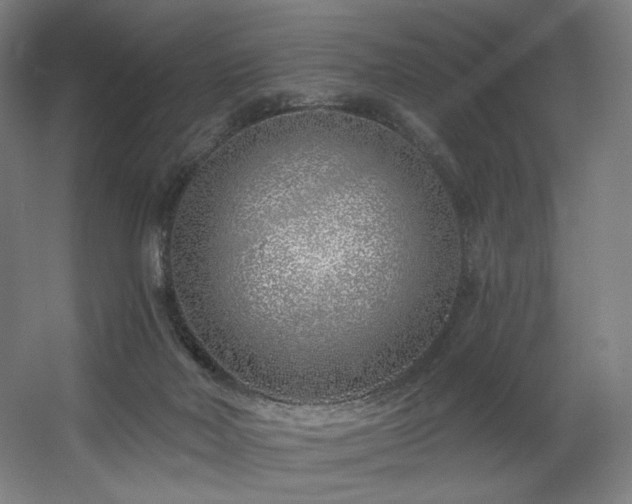 X0000060580026200511031348