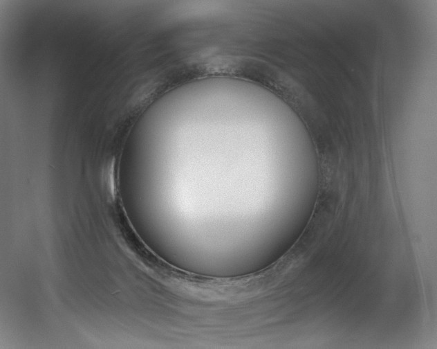 X0000060580028200511031348