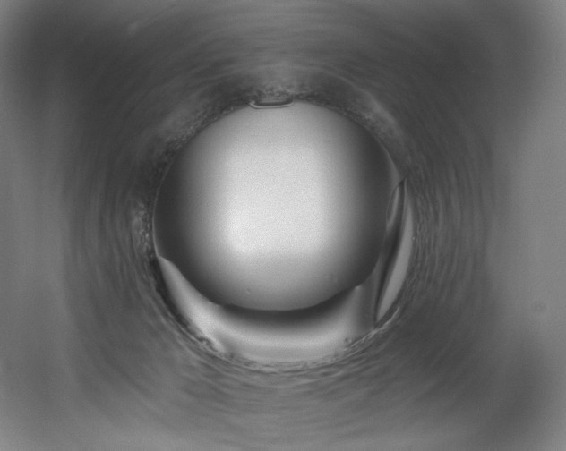 X0000060580029200511031348