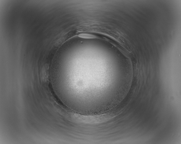 X0000060580030200511031348