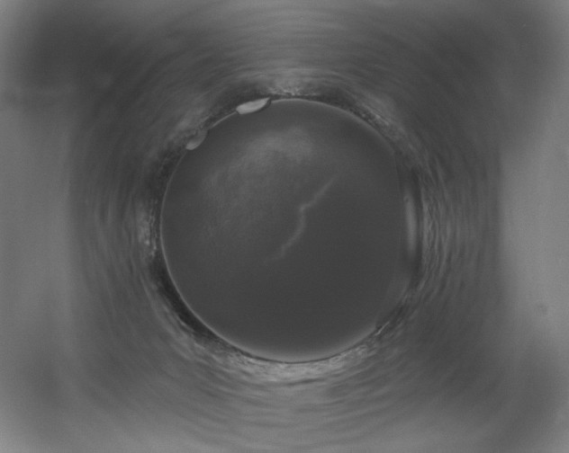 X0000060580031200511031348