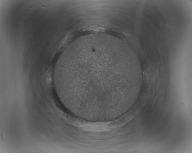 X0000060580032200511031348