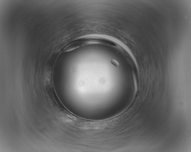 X0000060580033200511031347