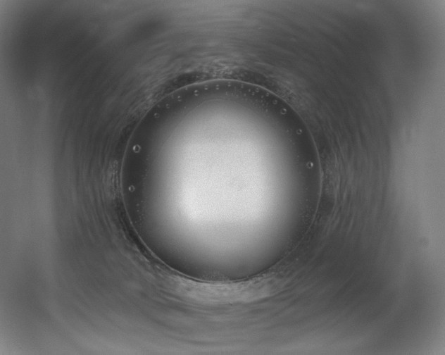 X0000060580034200511031347