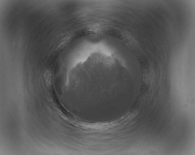 X0000060580036200511031347