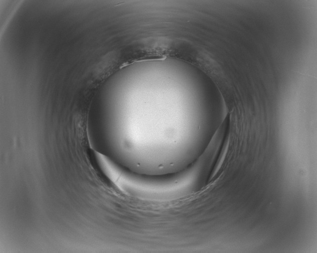 X0000060580037200511031347