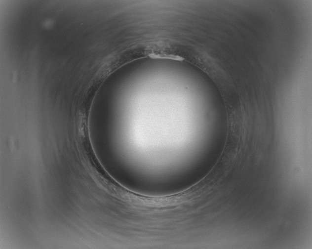 X0000060580038200511031347