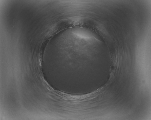 X0000060580039200511031347