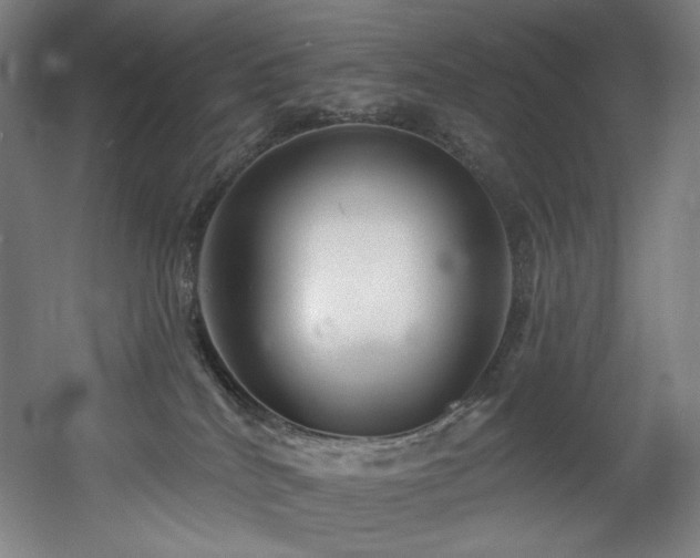 X0000060580040200511031347