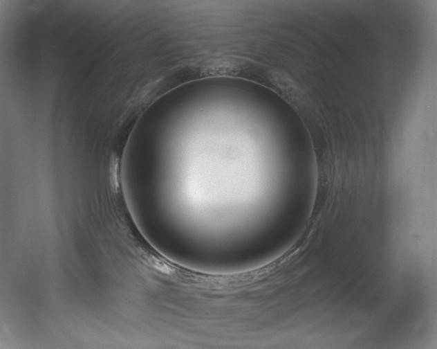 X0000060580041200511031347