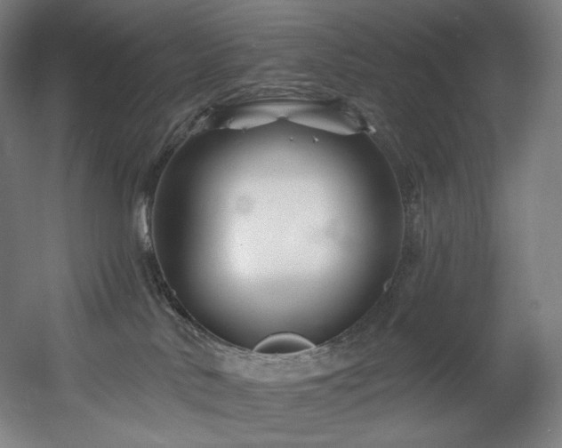 X0000060580042200511031347