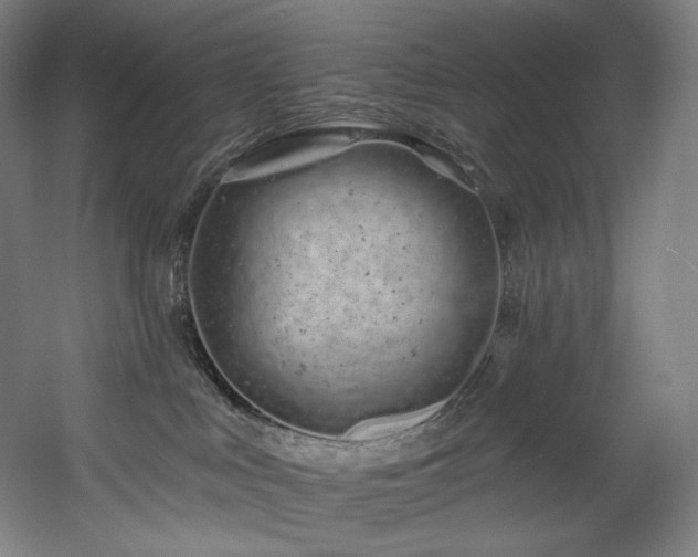 X0000060580043200511031347