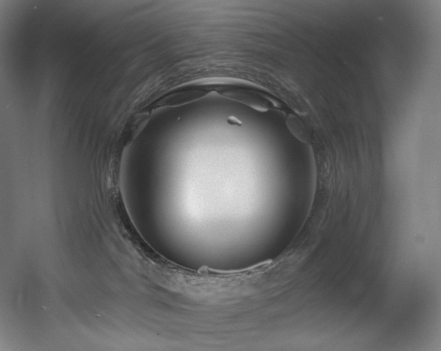 X0000060580044200511031347