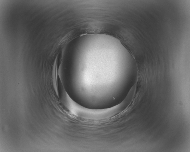 X0000060580045200511031347