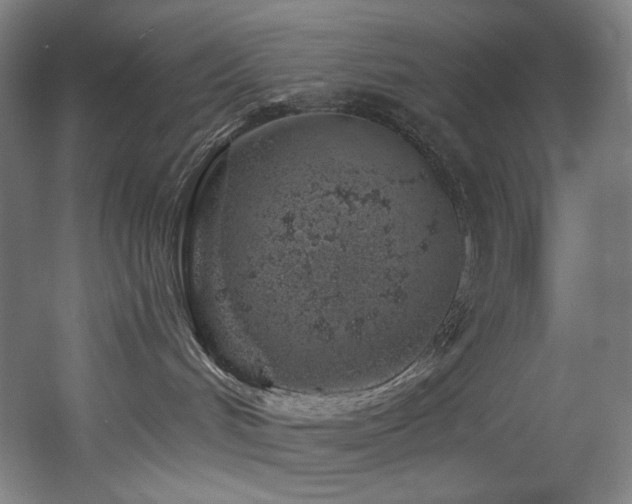 X0000060580048200511031347