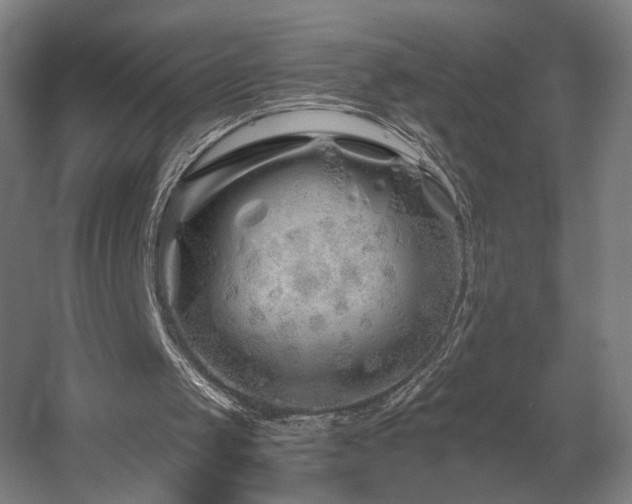 X0000060580049200511031346