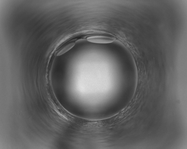 X0000060580050200511031346