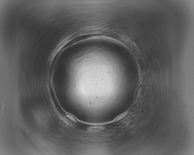 X0000060580051200511031346