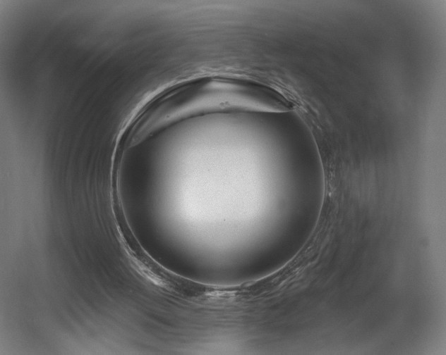 X0000060580052200511031346