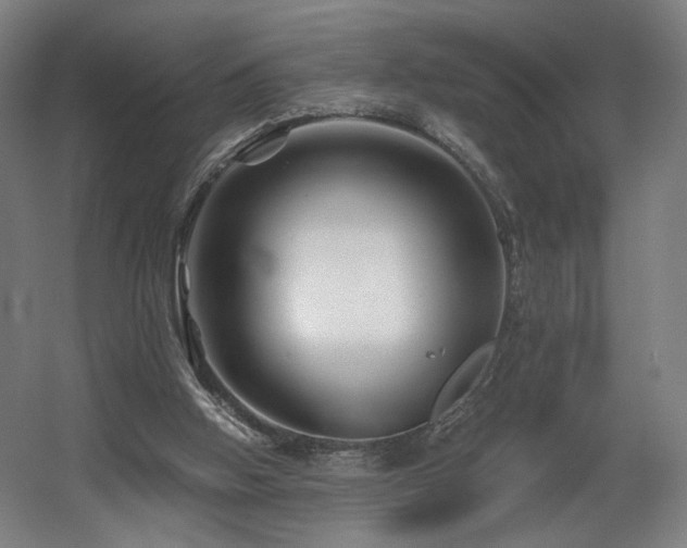 X0000060580058200511031347