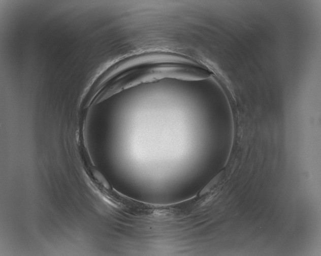 X0000060580060200511031347